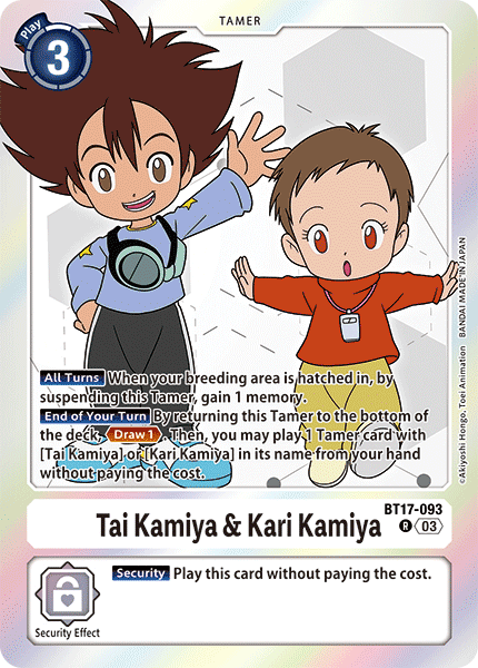 Image of Tai Kamiya & Kari Kamiya