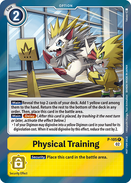 Image of Physical Training