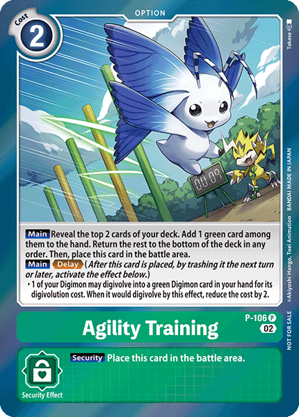 Image of Agility Training